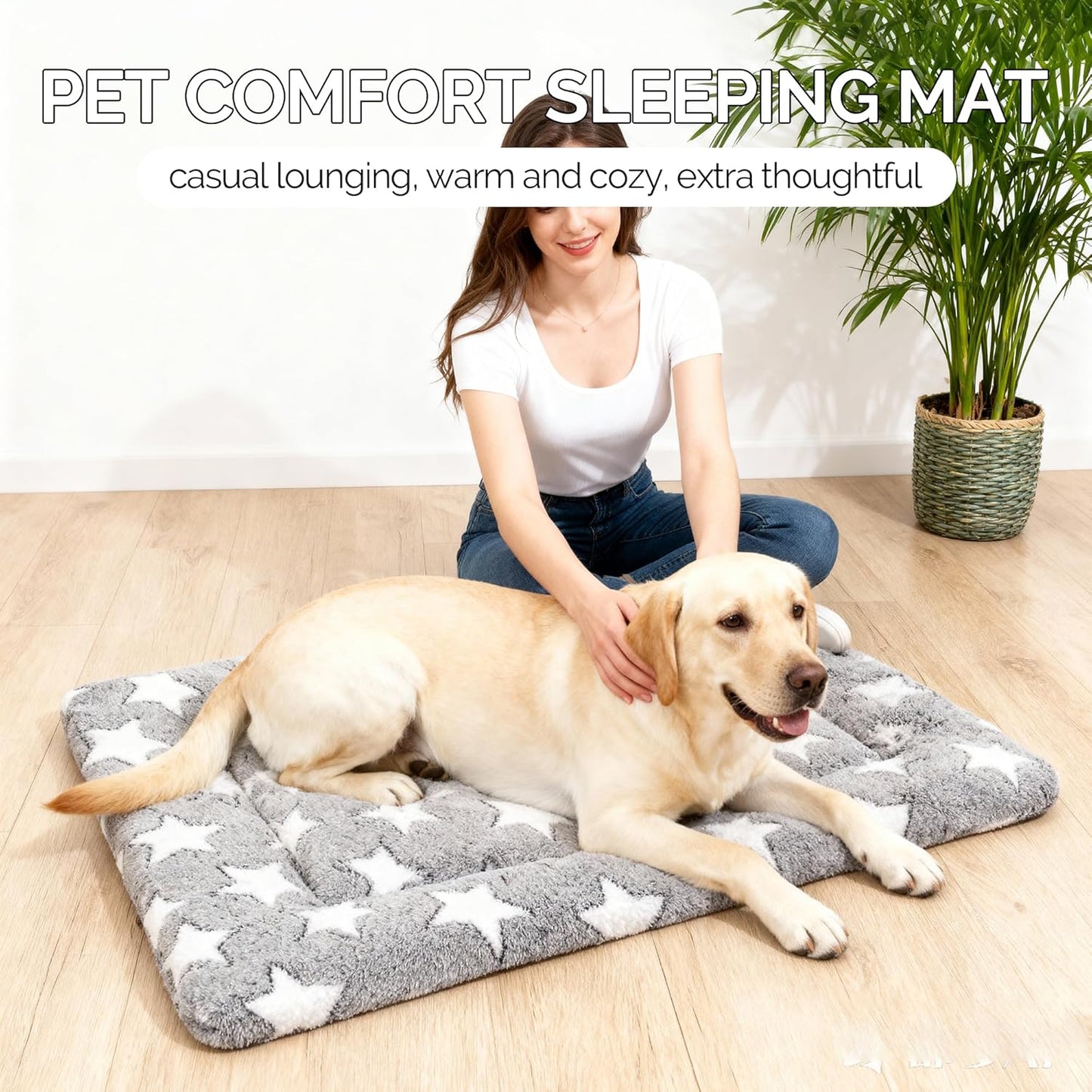 Dog Bed Mat, Reversible Crate Pad & Cute Dog Bed - Machine Washable Kennel Mat with Ultra Soft for Small Dogs (Cool/Warm), 24" x 18", Grey&Star