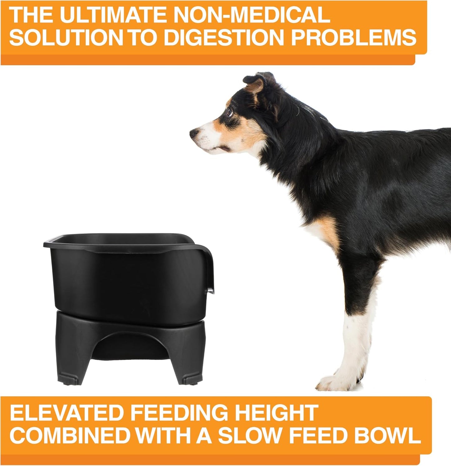 Neater Feeder Express Mess Proof Dog Bowls Elevated for Small Breeds under 15 Lb, Made in USA, No Spill Raised Dog Food Bowl Stand, Stainless Steel Food and Water Bowl Set, Feeding Station, Cappuccino