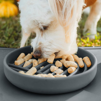 Should We Go? Slow Feeder for Dogs & Puppies, The Slowdown Bowl Silicone Slow Eating, Modern Lick Mat Design, Reduces Gulping, Fits 2 Cups, 7.5” Across x 1.5” Tall, Mealtime Challenge, Medium-Blush