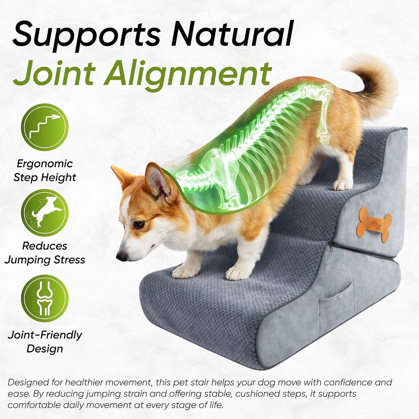 Dog Stairs for Bed & Couch – BuddyRamp 2-in-1 Foldable Dog Stairs and Ramp, 3-Step Pet Stairs Converts to Gentle Ramp, Non-Slip Soft Foam Steps for Small Dogs & Senior Pets