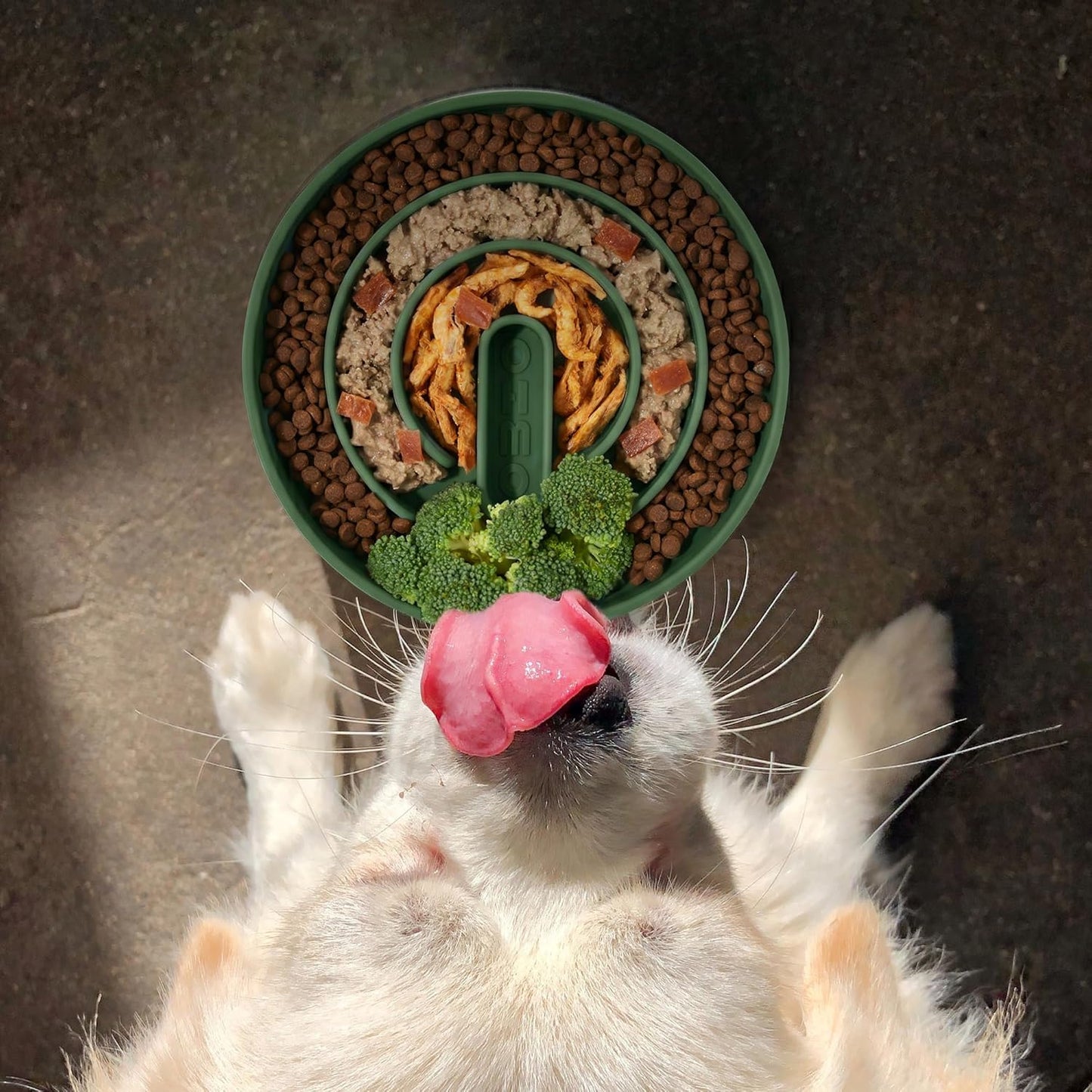 OHMO Slow Feeder Dog& Cat Bowl, Silicone Puppy Cat Food Bowl with Anti-Slip Suction Cup Slow Down Small Dogs Eating, Anti Choking (S-Tree of Life,Sage Green)
