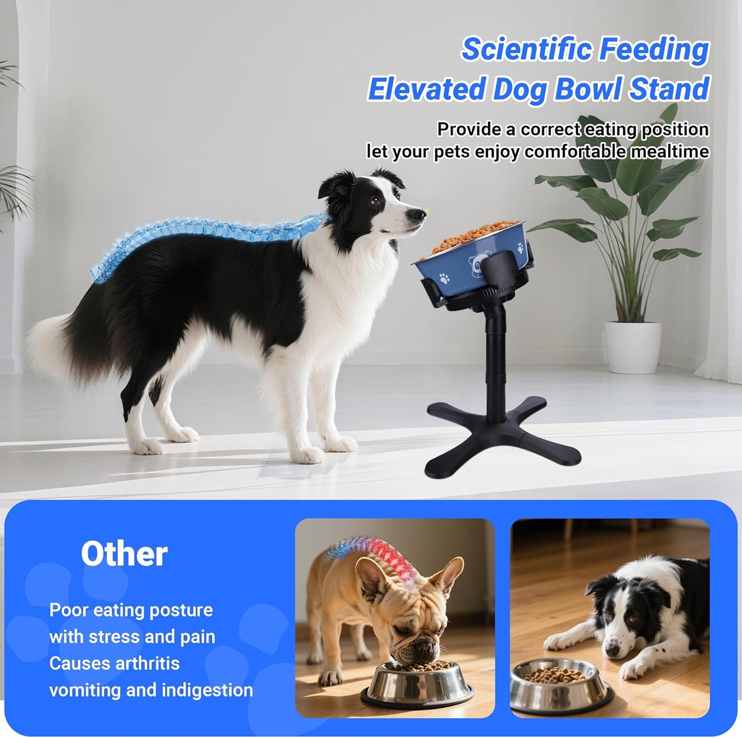 Dog Bowls Elevated Adjustable Stand, Raised Bowl with 3 Heights & Tilted Feeding Stand, Compatible with Various Bowls, for Medium & Large Breeds (1 Pack) Black