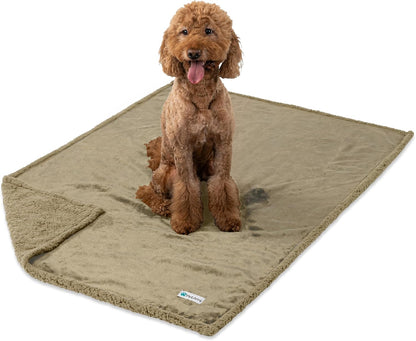 PetAmi Waterproof Dog Blanket for Couch, Large 60x40, Pee Proof Sherpa Fleece Reversible Pet Throw, Furniture Protector for Bed Sofa Kennel, Soft Washable Cover for Medium Dogs Cats, Grey Sherpa