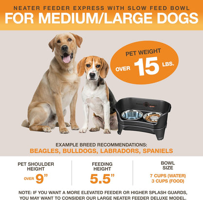 Neater Feeder Express Mess Proof Dog Bowls Elevated for Small Breeds under 15 Lb, Made in USA, No Spill Raised Dog Food Bowl Stand, Stainless Steel Food and Water Bowl Set, Feeding Station, Cappuccino