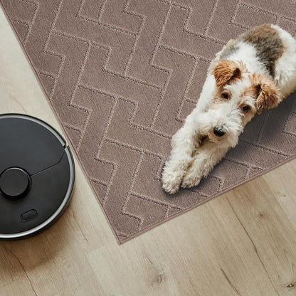 PURRUGS Dirt Trapping Door Mat 20" x 31.5", Non-Slip Machine Washable Entry Rug, Dog Doormat, Indoor Front Door Mat, Super Absorbent Entryway Rug for Muddy Shoes & Paws, Taupe