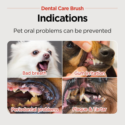 JAYU PET Dental Care Brush with Soft Bristles 1ea - Dog Toothbrush, Cat Toothbrush, Dental Care for Kitten and Small Dogs, Removing Old Plaque and Tartar, Easy Cleaning
