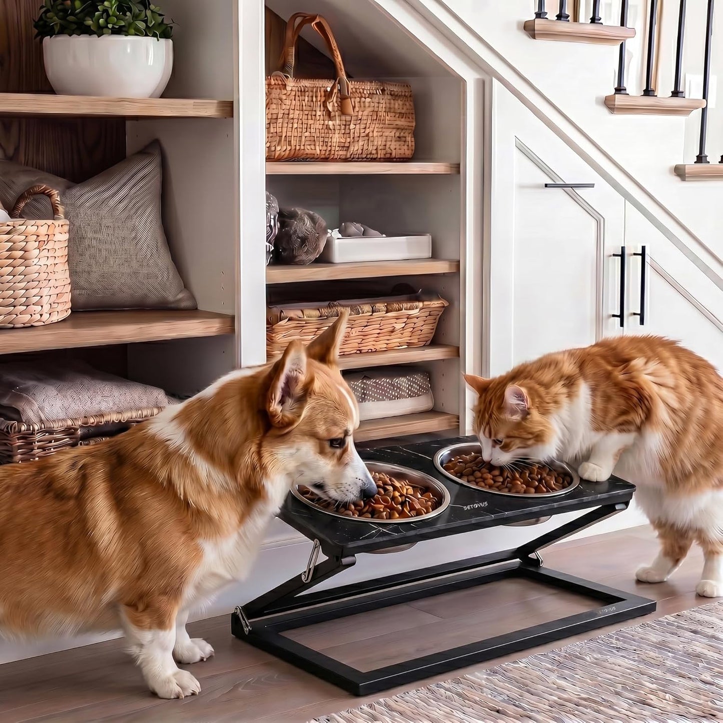 Elevated Dog Bowls, Adjustable Raised Dog Bowl Stand with 2 Stainless Steel Food Bowls 20°Tilted Water Bowls for Medium Small Sized Dogs (Black, Medium)
