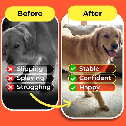 HASHI 24 Pcs Size XXL Pre-Cut Dog Paw Grips, Anti-Slip Traction Pads for Hardwood & Tile Floors, 6 Sets Self-Adhesive Pet Paw Protectors for Senior Dogs, Water-Resistant & Breathable