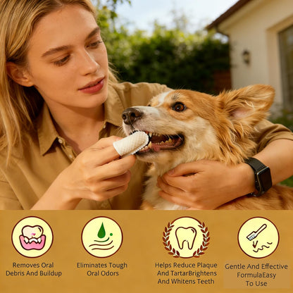 CGO Pet Teeth Cleaning Finger Wipes (50 Count) - Soft Dental Finger Covers for Dogs & Cats - Effectively Removes Plaque & Tartar, Freshens Breath - Alcohol-Free, Non-Irritating Oral Care Routine