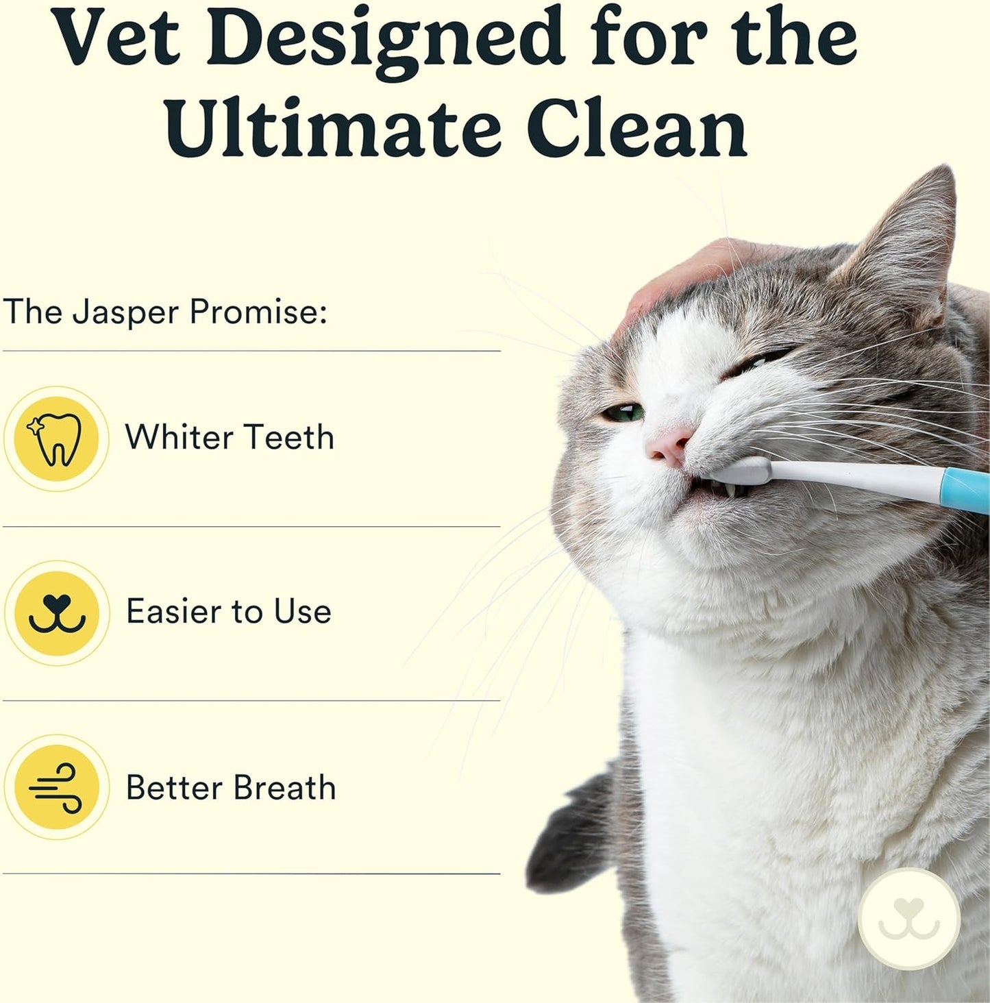 Jasper Microbrush Vet Approved Cat Toothbrush, Soft-Bristled Toothbrush Kit for Felines & Small Dogs, Non-Slip Handle with 2 Replaceable Tooth Brush Heads, Use with Cat Toothpaste, 2-Pack, Rose Pink