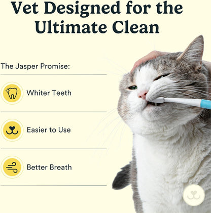 Jasper Microbrush Vet Approved Cat Toothbrush, Soft-Bristled Toothbrush Kit for Felines & Small Dogs, Non-Slip Handle with 2 Replaceable Tooth Brush Heads, Use with Cat Toothpaste, 2-Pack, Rose Pink