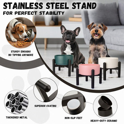 Raised Ceramic Dog Bowl Set - Elevated Double Dishes with Stainless Steel Stand - Food and Water Bowls for Small to Medium Dogs - Each Holds 3.5 Cups (29.57 fl oz) - White
