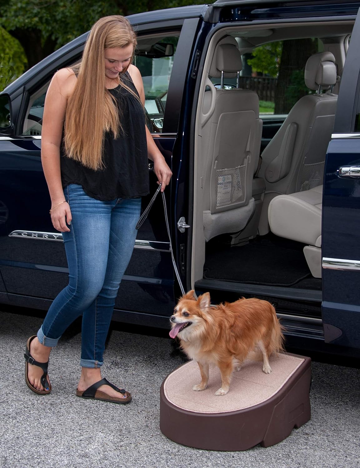 Pet Gear Stramp Stair and Ramp Combination for Dogs/Cats, Easy Step, Lightweight/Portable, Sturdy, Easy Assembly (No Tools Required), Dark Brown