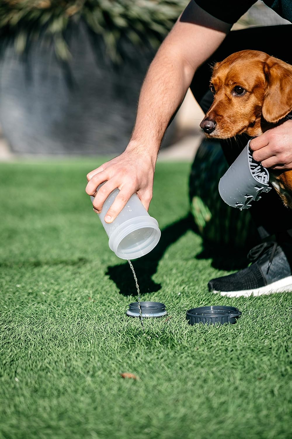 Dexas MudBuster Medium Dog Paw Cleaner in Fuchsia - Fits 1.5"-2.5" Wide Paws, Portable Paw Washer for Muddy Paws, Dog Paw Cleaning Cup with Gentle Silicone Bristles, Quick Clean Pet Paw Washer