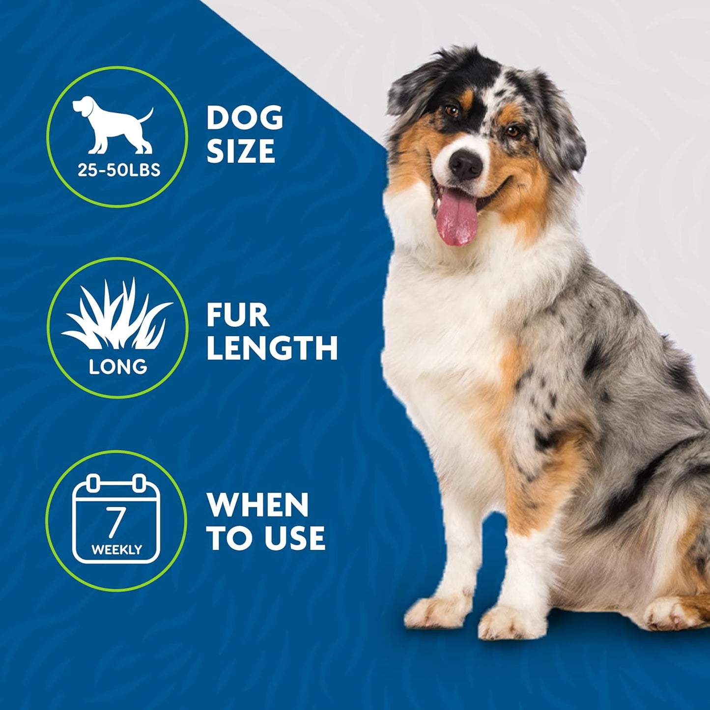FURminator Large Dog Undercoat deShedding Tool for Short Hair, Reduces Loose Hair From Shedding