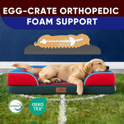 Comfort Expression Orthopedic Dog Bed for Extra Large Dogs 42x30 Inch, Waterproof Egg Crate Foam XL Pet Bed with Removable Bolsters, Dog Couch with Washable Cover & Non-Slip Bottom, Grey - Colors B
