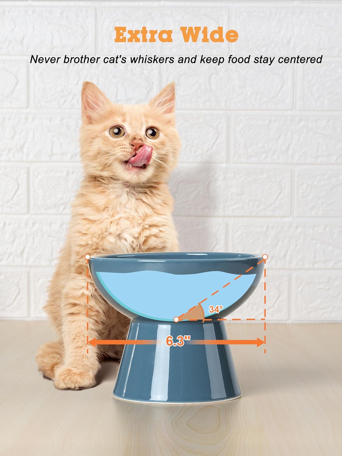 LoeJan Elevated Cat Food and Water Bowls Set, Extra Wide and Raised Ceramic Bowls, Anti-Vomit Whisker-Free Pressure Cat Feeder for Kittens to Adult Cats and Small Dogs (White, Water Bowl)