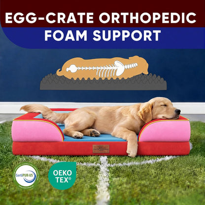 Comfort Expression Orthopedic Dog Bed for Extra Large Dogs 42x30 Inch, Waterproof Egg Crate Foam XL Pet Bed with Removable Bolsters, Dog Couch with Washable Cover & Non-Slip Bottom, Grey - Colors B