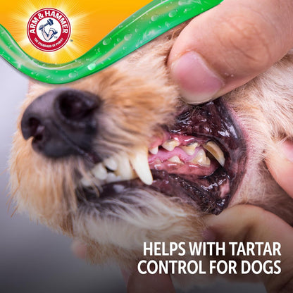 Arm & Hammer Complete Care Dog Dental Kit Enzymatic Toothpaste 2.5 OZ Chicken Flavor Toothbrush Finger Brush Tartar Baking Soda Formula