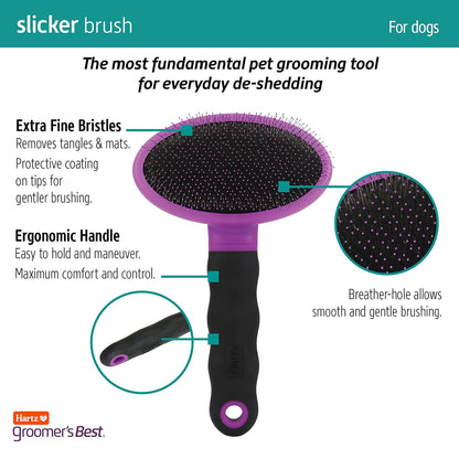 Hartz Groomer's Best Small Slicker Brush for Cats and Small Dogs, Black/Violet, 1 Count