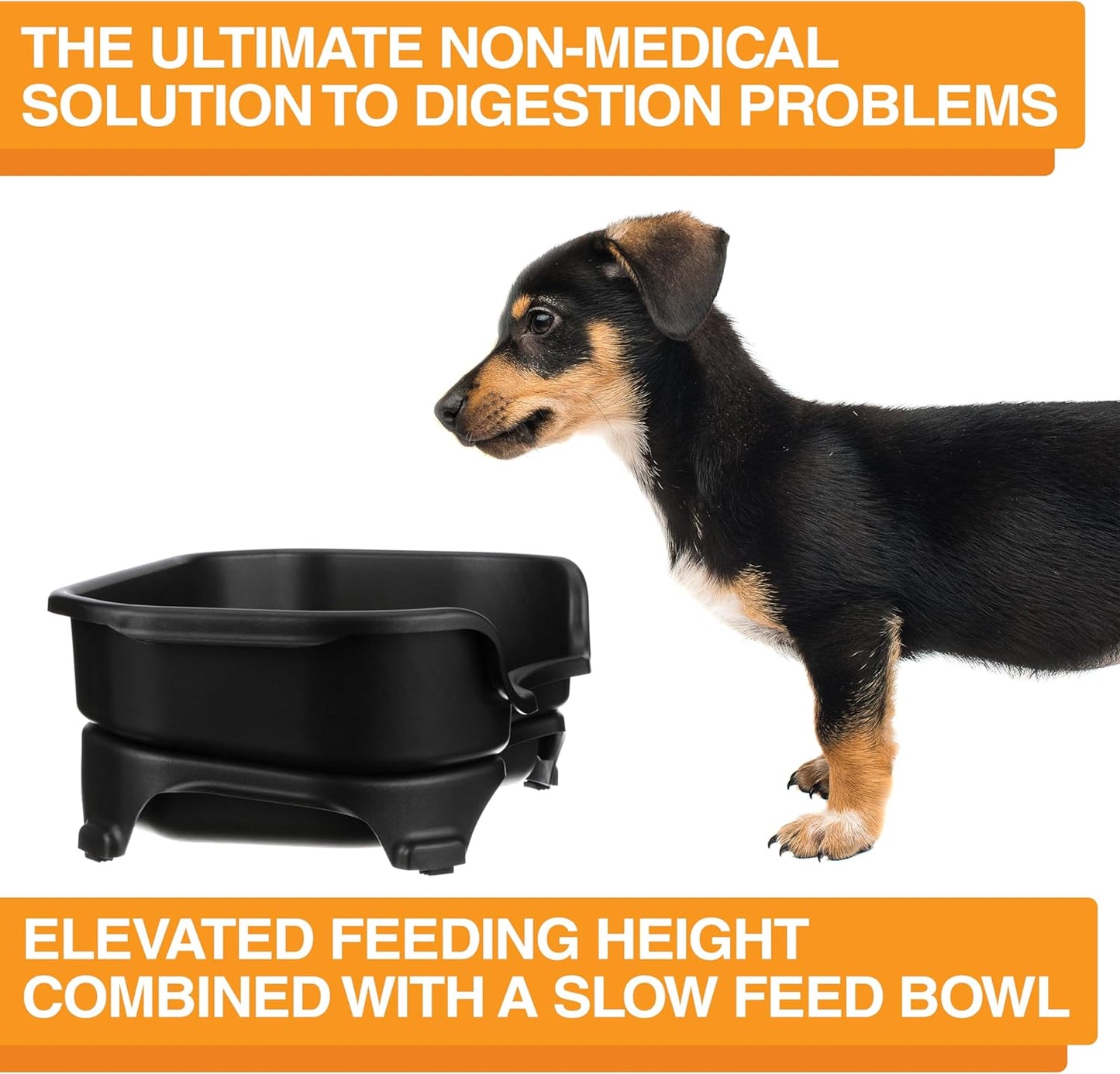 Neater Feeder Express Mess Proof Dog Bowls Elevated for Small Breeds under 15 Lb, Made in USA, No Spill Raised Dog Food Bowl Stand, Stainless Steel Food and Water Bowl Set, Feeding Station, Cappuccino