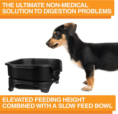 Neater Feeder Express Mess Proof Dog Bowls Elevated for Small Breeds under 15 Lb, Made in USA, No Spill Raised Dog Food Bowl Stand, Stainless Steel Food and Water Bowl Set, Feeding Station, Cappuccino