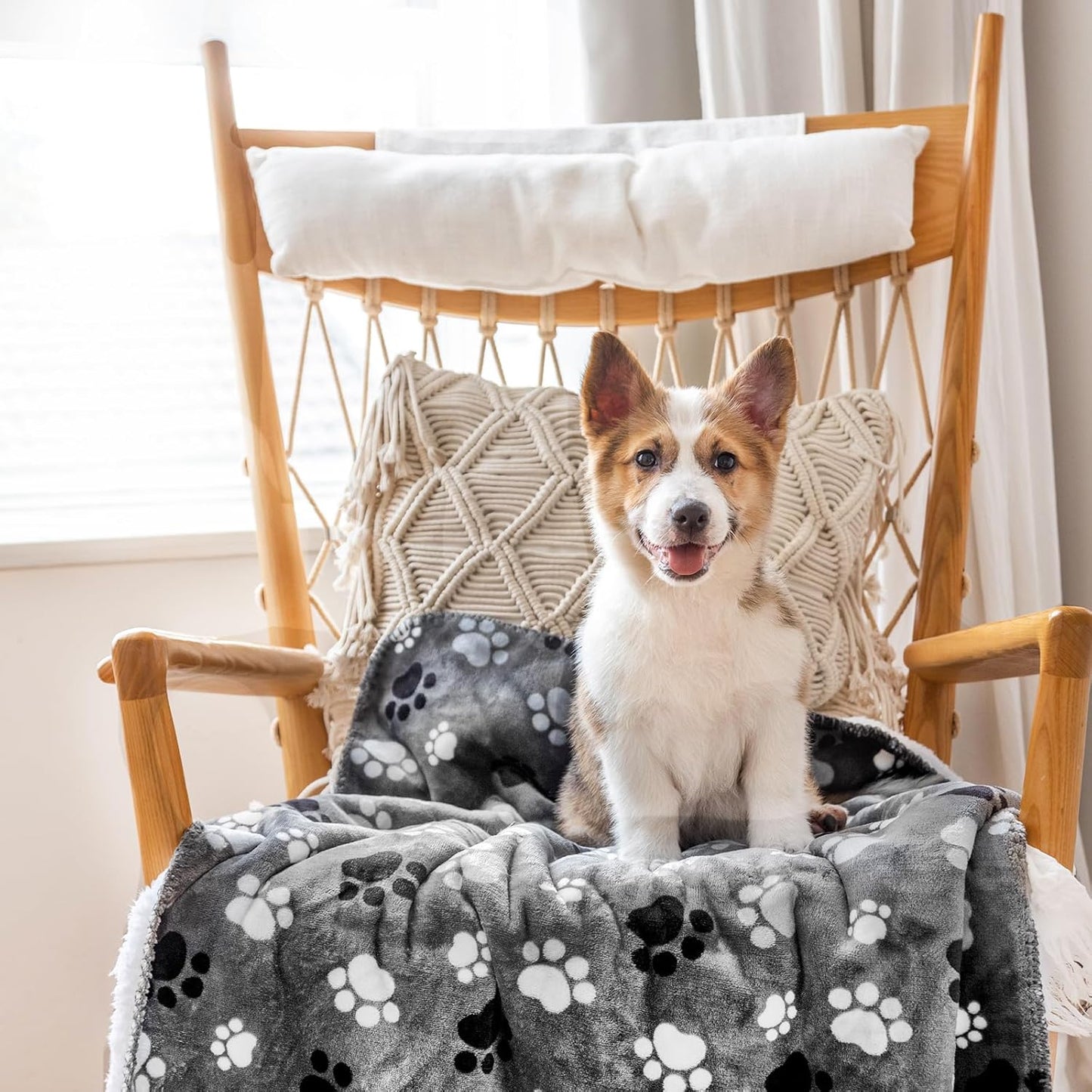Waterproof Pet Blanket Dog Blankets, Pattern Printing Super Soft Warm Fluffy Facecloth Sofa Car Bed Protector, Urine Proof Washable Outdoor Pet Blanket for Puppy Large Dogs & Cats 40 * 30 inch