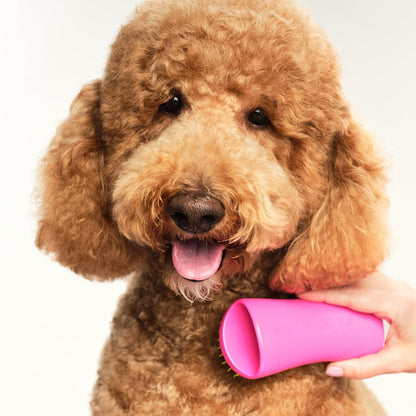Pet Teezer Detangling Dog Grooming Brush, Dog Bath Brush for Long Haired Breeds and Wet or Dry Fur, Large, Navy & Orange