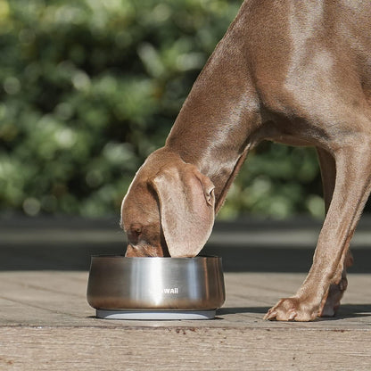 Pawaii Dog Bowl, 34 oz Double-Wall Stainless Steel Food and Water Bowl, Non-Slip Rubber Base, Dishwasher Safe, ID Tag Included, (1 Pack)