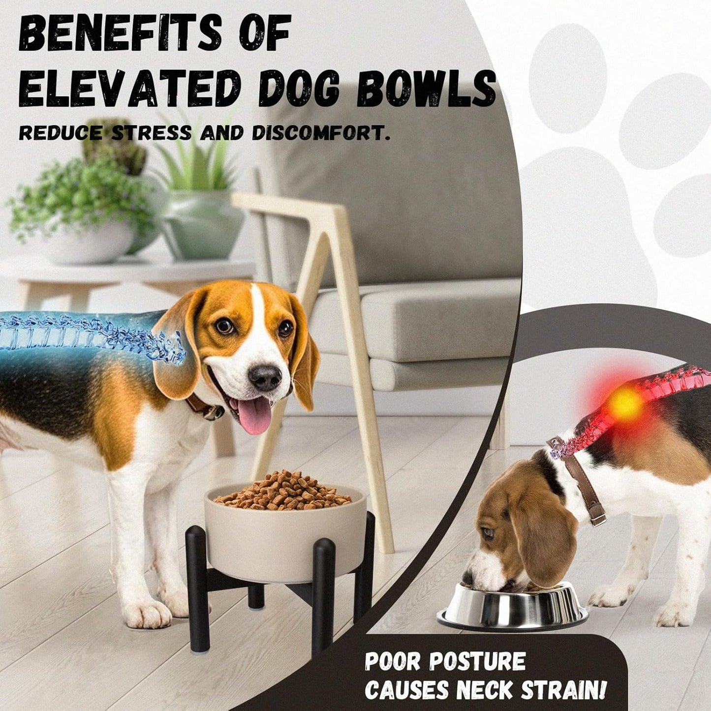 Raised Ceramic Dog Bowl Set - Elevated Double Dishes with Stainless Steel Stand - Food and Water Bowls for Small to Medium Dogs - Each Holds 3.5 Cups (29.57 fl oz) - White