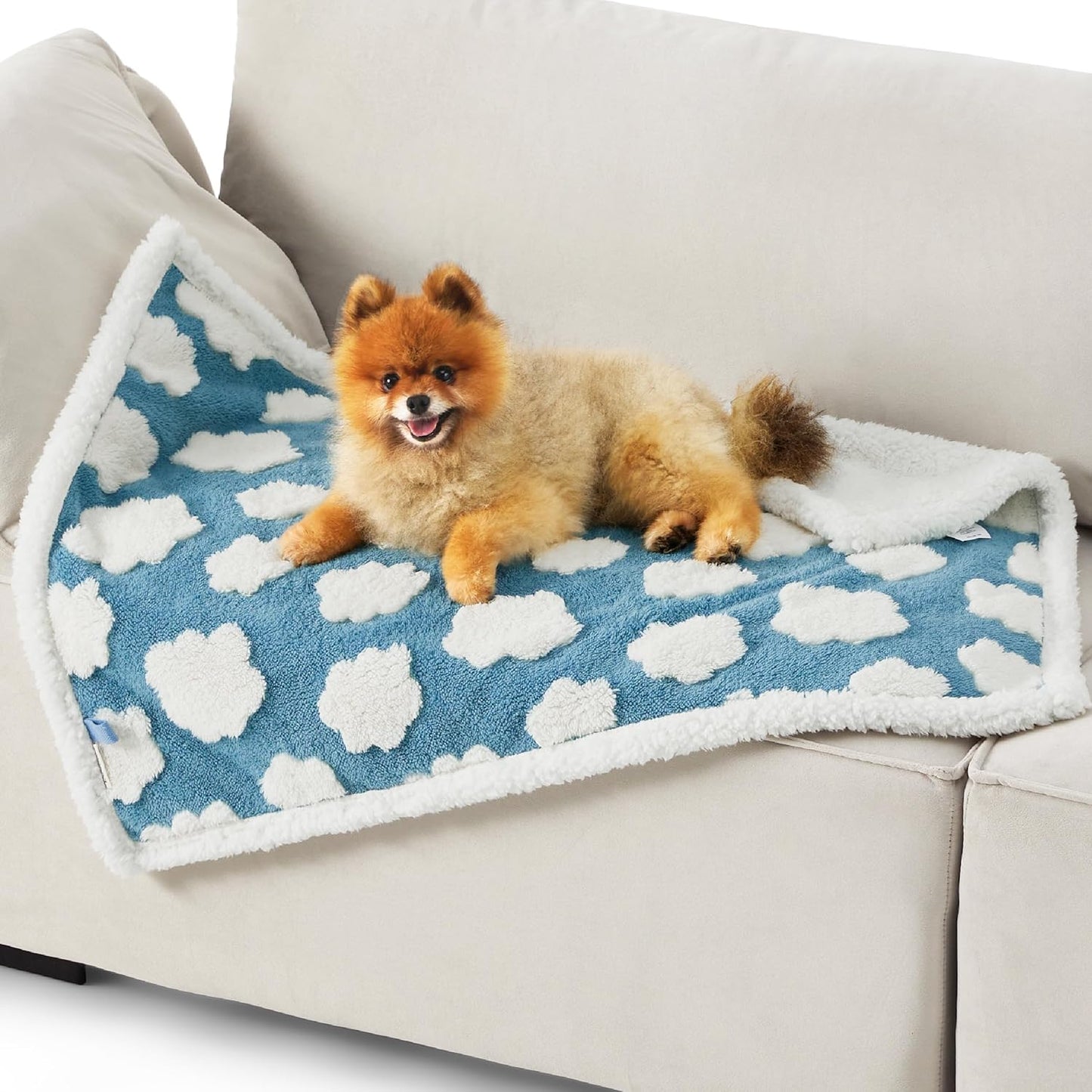 LE SURE Waterproof Dog Blanket for Large Dogs - Washable Double Sided Dog Blankets with Warm Jacquard Shag and Soft Sherpa Fleece, Pet Cat Blanket for Couch Protection, 3D Textured Cloud, Green
