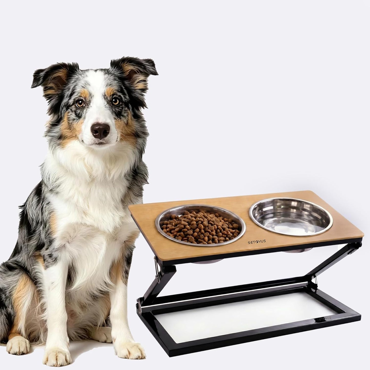 Elevated Dog Bowls, Adjustable Raised Dog Bowl Stand with 2 Stainless Steel Food Bowls 20°Tilted Water Bowls for Medium Small Sized Dogs (Black, Medium)