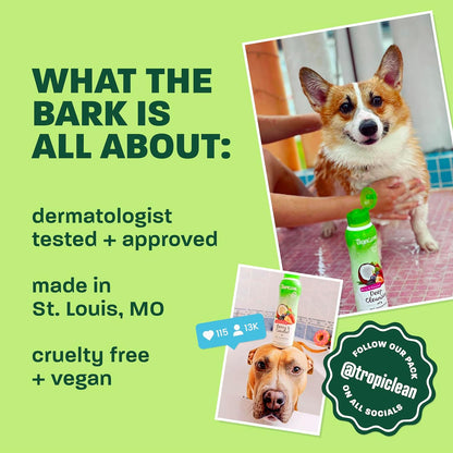 TropiClean Deshedding Dog Shampoo, Fast-Acting Shedding Control & Coat Softener, Puppy Safe, Made in USA, Lime & Coconut Scent, Cat Friendly, 20oz.