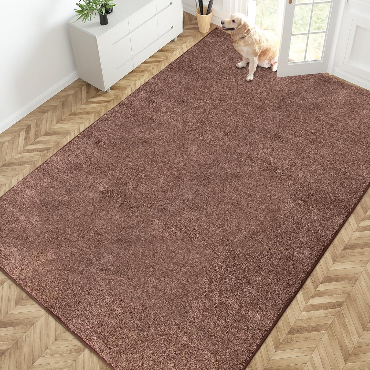 PURRUGS Dirt Trapping Door Mat 20" x 31.5", Non-Slip Machine Washable Entryway Rug, Dog Doormat, Indoor Front Door Mat, Super Absorbent Entry Rug for Muddy Shoes & Paws, Bluish Grey-Black