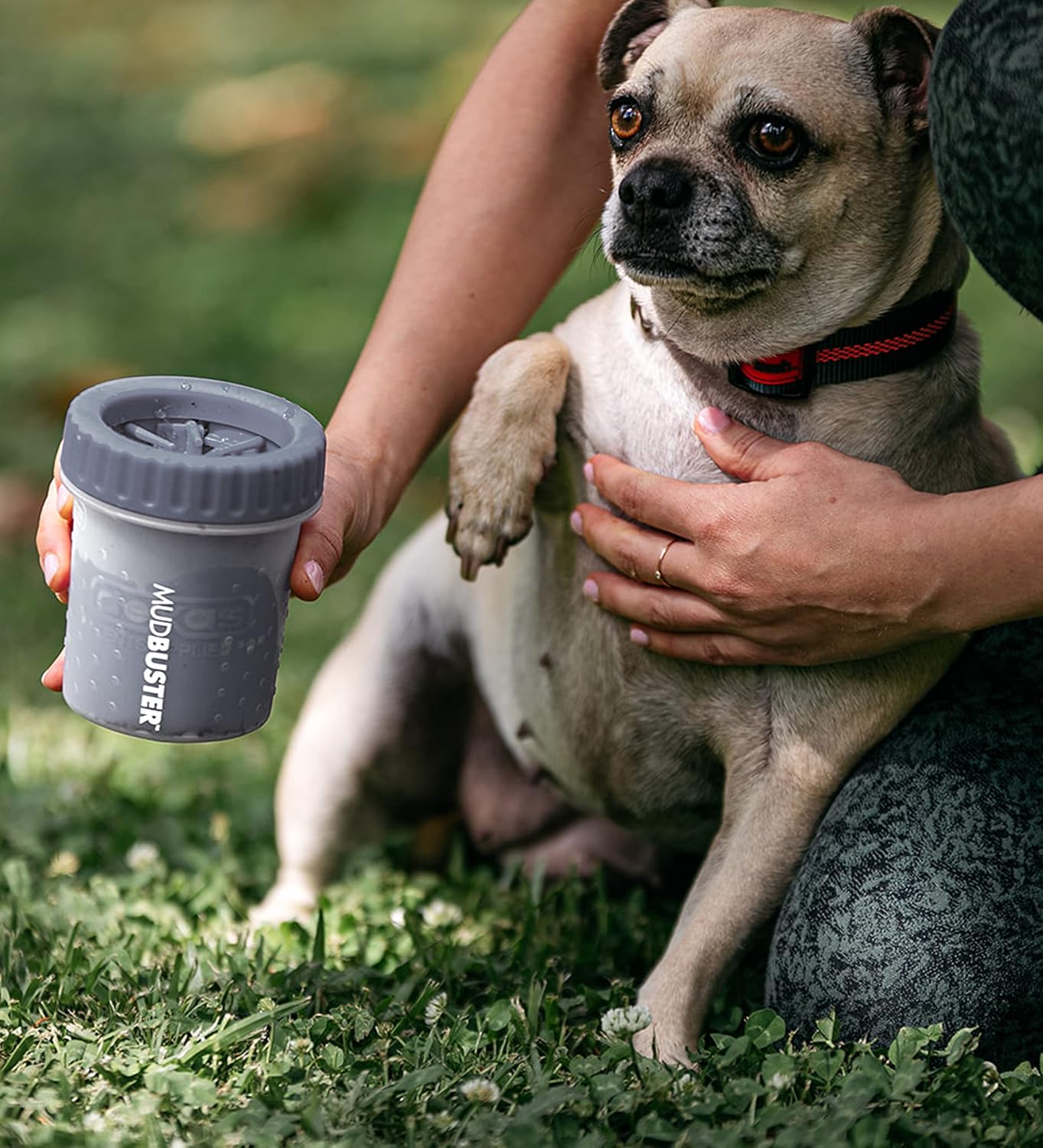 Dexas MudBuster Medium Dog Paw Cleaner in Fuchsia - Fits 1.5"-2.5" Wide Paws, Portable Paw Washer for Muddy Paws, Dog Paw Cleaning Cup with Gentle Silicone Bristles, Quick Clean Pet Paw Washer