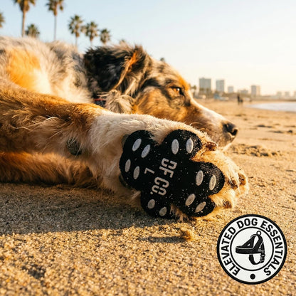 Dog Friendly Co. Dog Paw Pad Protector | Protects from Hot Surfaces, Provides Extra Grip, Keeps Paws Clean, Prevents Paw Allergies (XL, 20, Count)