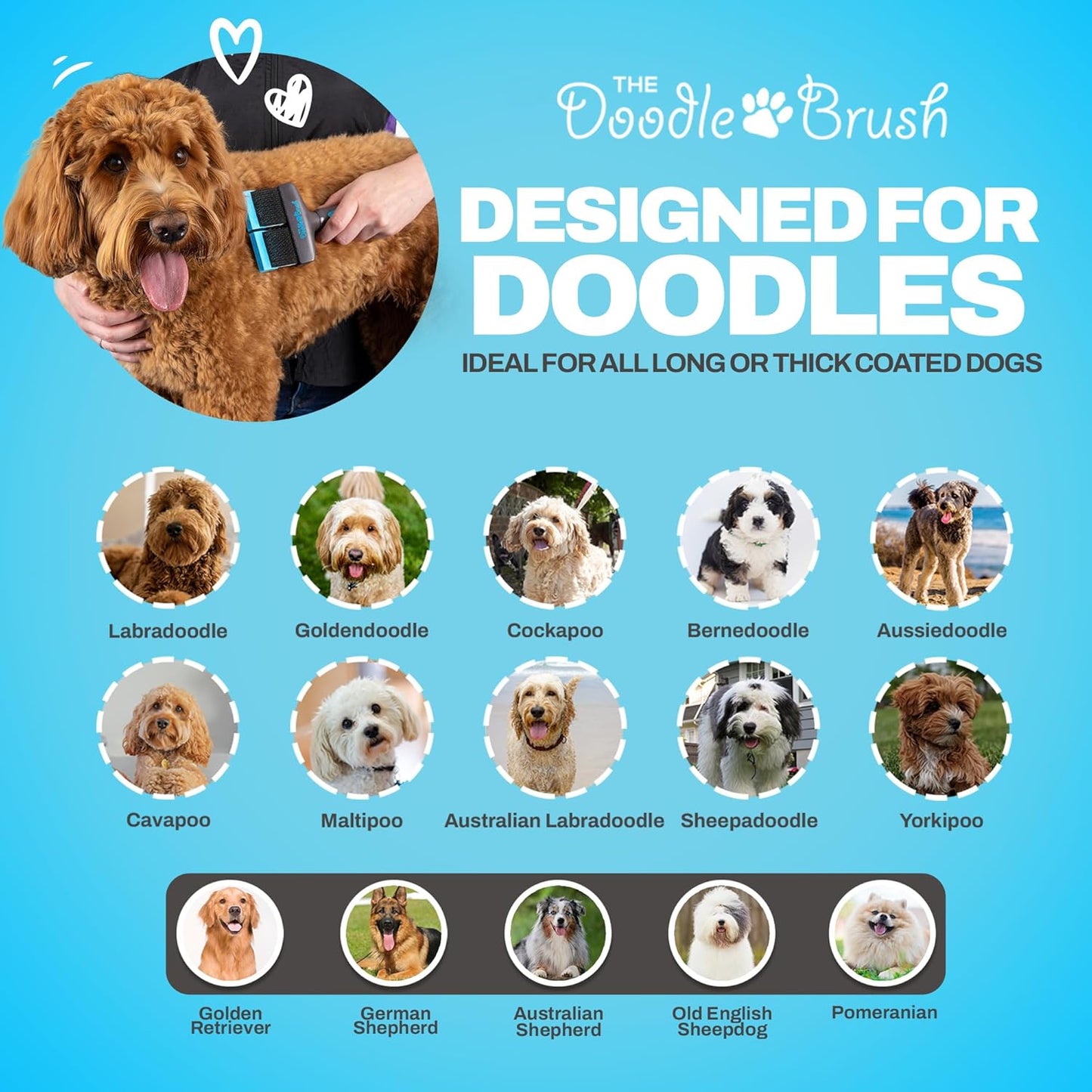 Slicker Brush for Dogs, Dual Head Dog Hair Brushes, Flexible Head Slicker for Dogs, Poodle, Labradoodle, Sheepadoodle, Tangle-Free Grooming, Healthy & Shiny Coat Pet Brushes