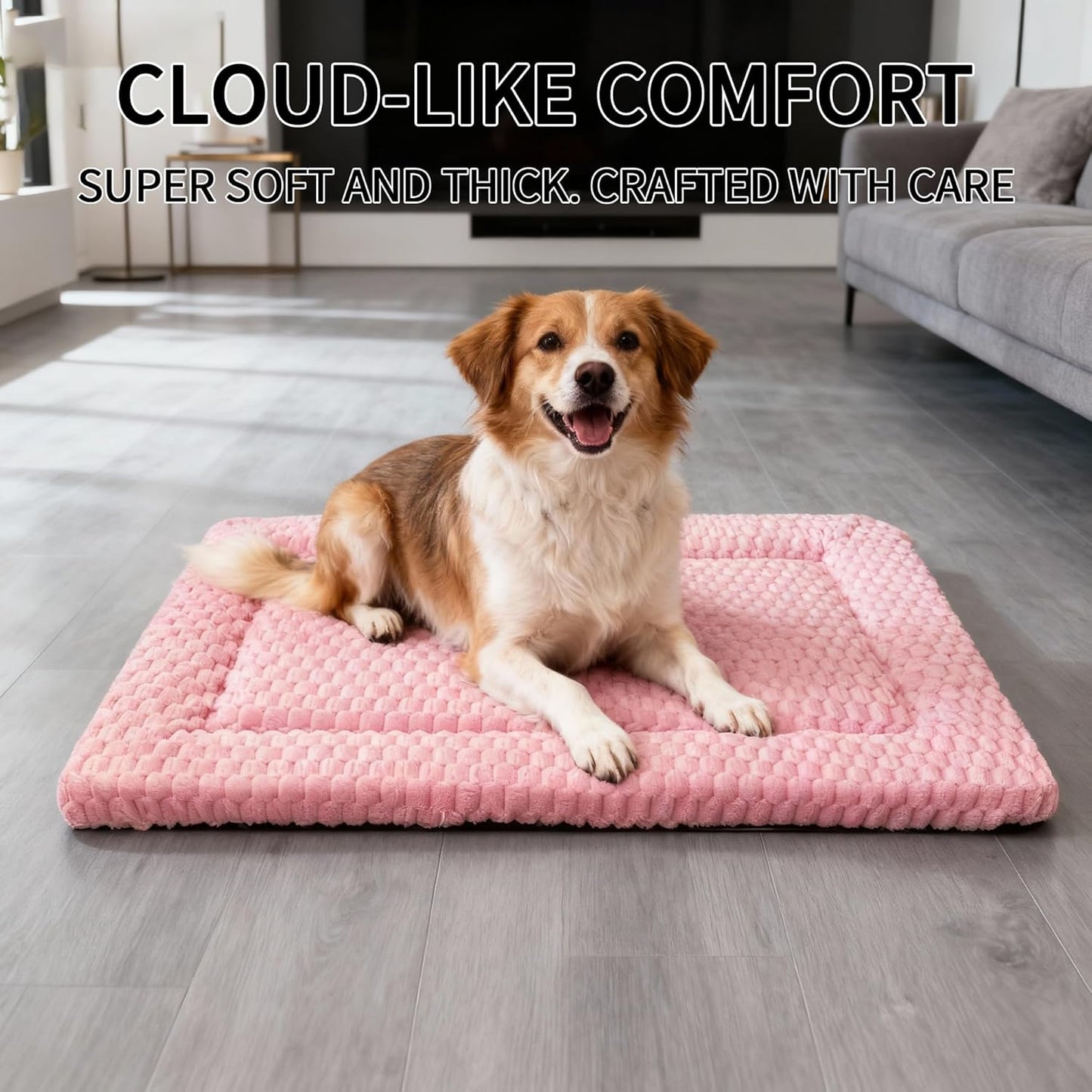 Dog Bed Mat, Reversible Crate Pad & Cute Dog Bed - Machine Washable Kennel Mat with Ultra Soft for Small Dogs (Cool/Warm), 24" x 18", Grey&Star