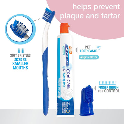 Nylabone Advanced Oral Care Natural Dog Dental Kit Peanut Flavor 2.5 oz.