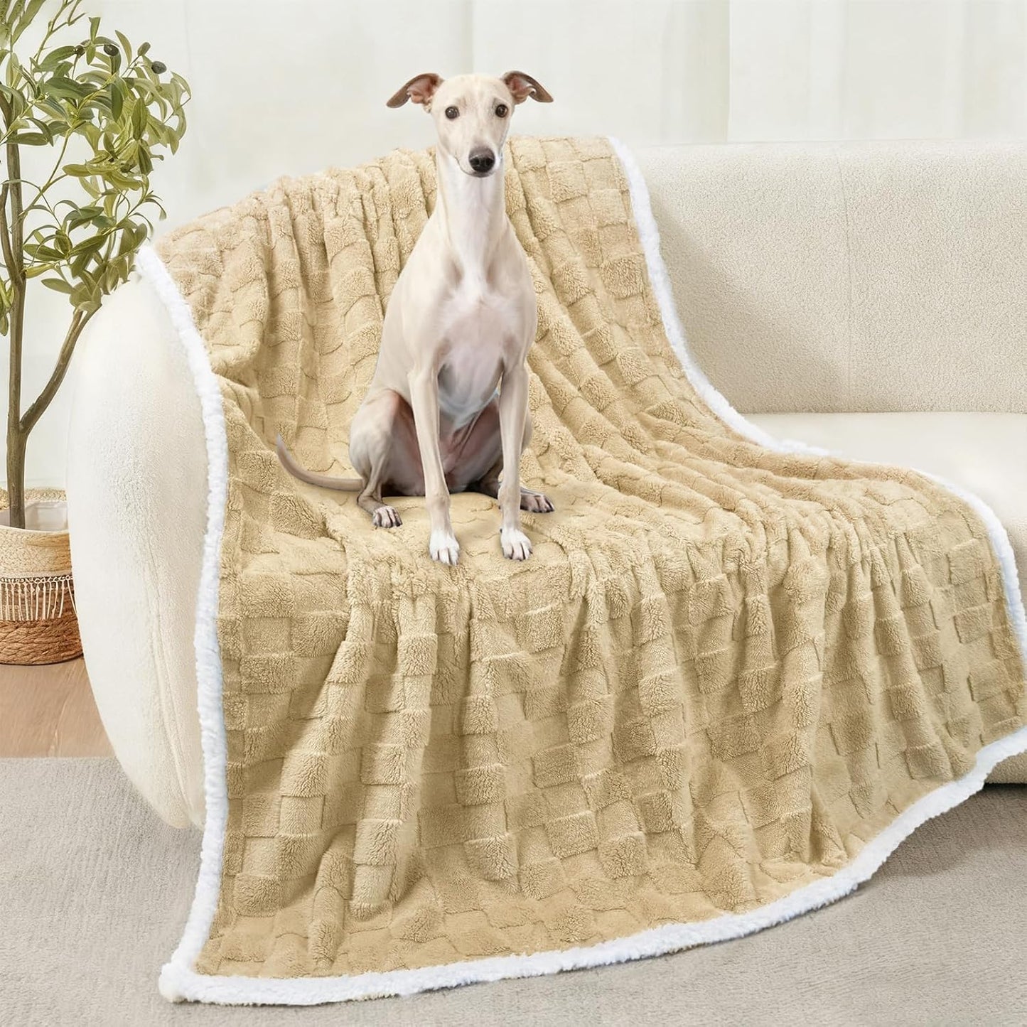 Luciphia Waterproof Dog Blanket, Leakproof Small Pet Blanket for Couch Sofa Bed Furniture Cover Protector, Washable Soft Sherpa Fleece with 3D Jacquard, Cozy Calming Reversible, Gray White, 40"x28"