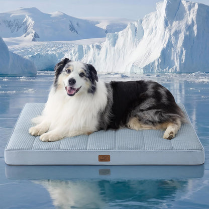 Bedsure Dog Beds Large Sized Dog - Comfy Flat Pet Beds with Removable Washable Cover, Orthopedic Egg Crate Foam Puppy Mat, Suitable for Pet Up to 65 lbs
