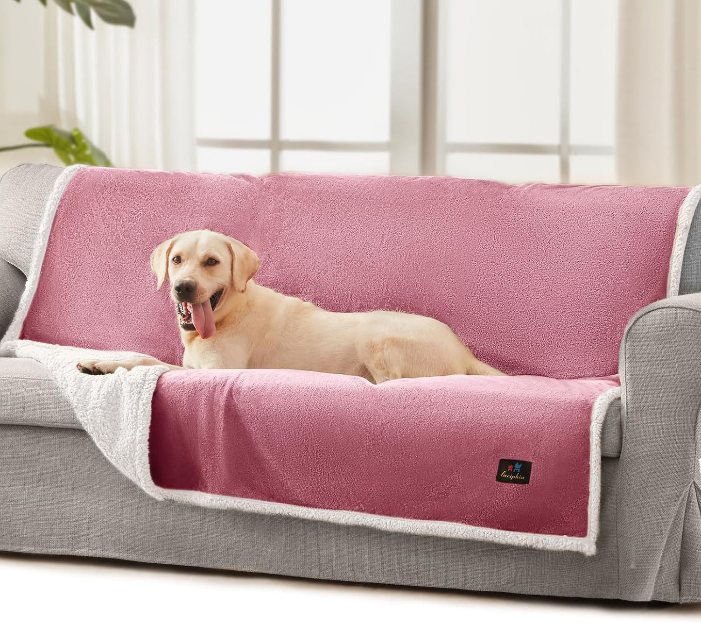 Luciphia Waterproof Bed Blanket Washable,Soft Sherpa Fleece Puppy Reversible Throw Blankets for Small Dog Cat,Furniture Cover Protector Couch Bed from Liquid Pee and Pet Fur, Light Grey, 40" x 28"