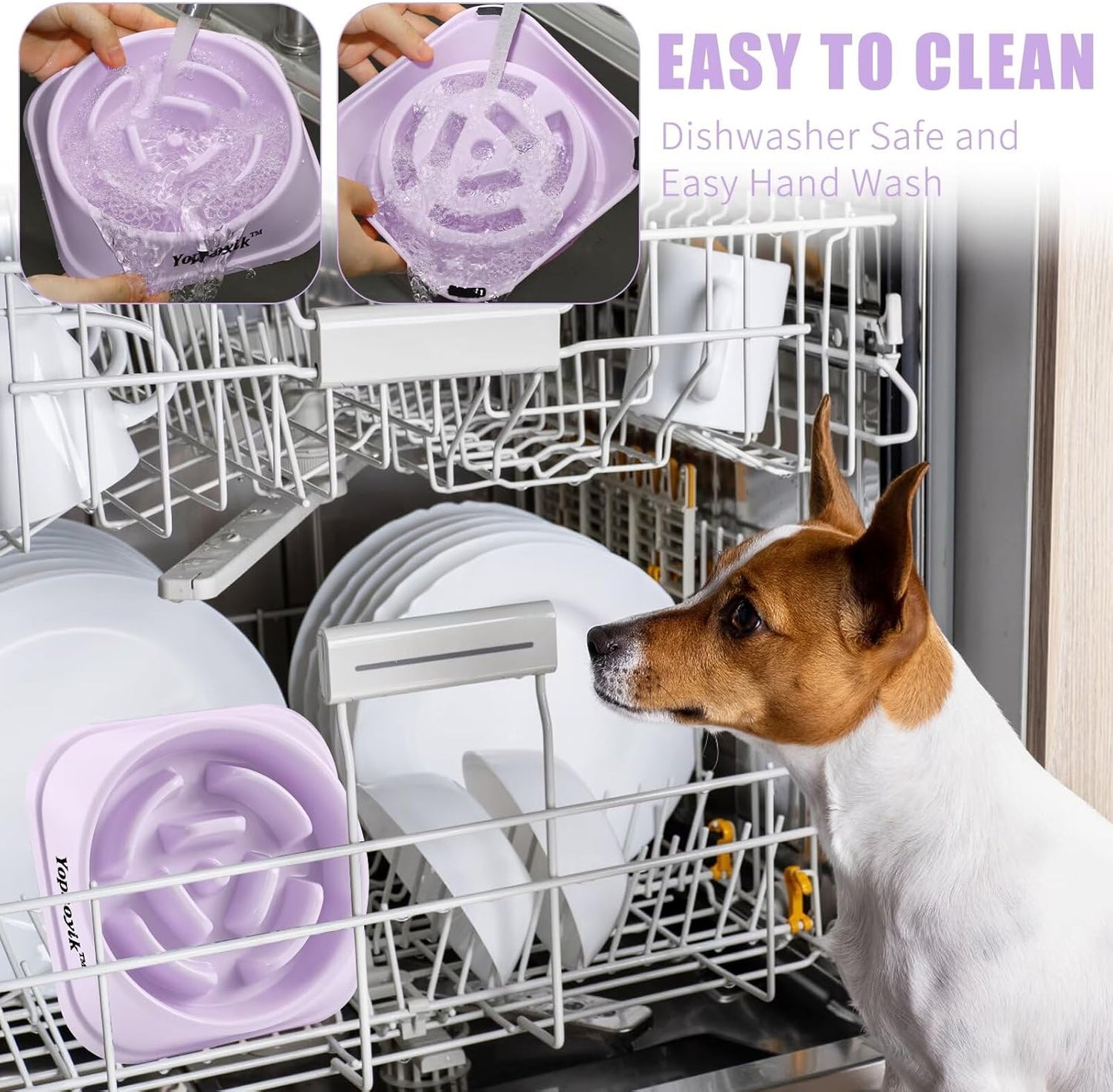2 Pack Slow Feeder Dog Bowls for Healthy Eating, Non-Slip and Anti-Choking Design, Reduces Bloating & Overeating for Medium Dogs and Cats, Easy to Clean