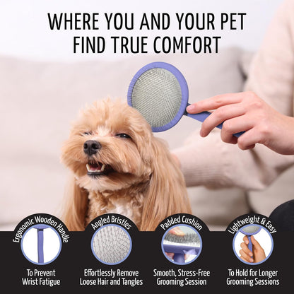 Tauro Pro Line Slicker Brush for Dogs & Cats, Deshedding, Dematting & Detangling Grooming Tool for Medium to Long Coats, Ideal for Doodles & Poodles, Flexible Cushion, Purple, Medium Size (M)
