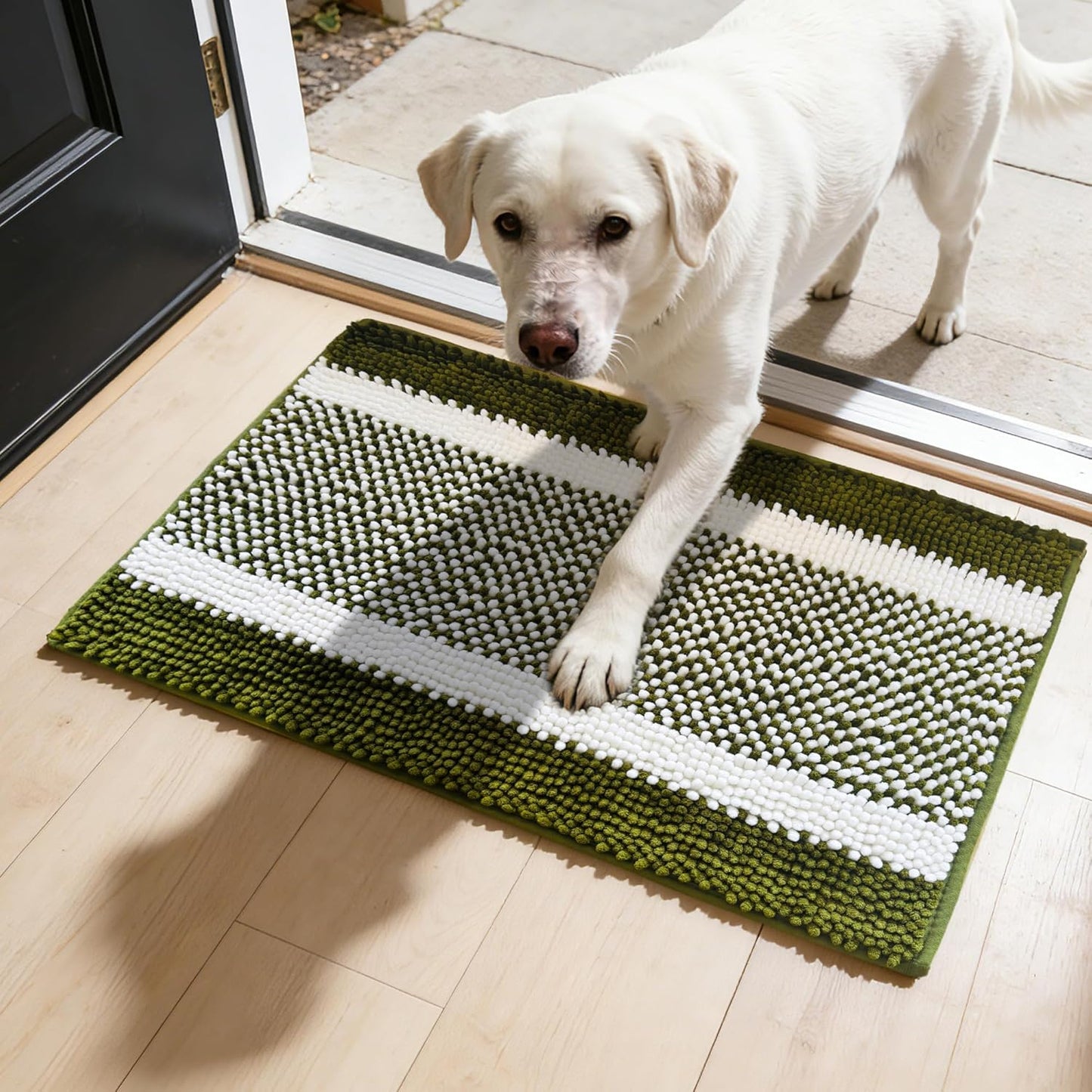 Dog Door Mat for Muddy Paws - Absorbent Quick-Dry Non-Slip Washable Chenille Pet Rug, Indoor Entryway Mat for Front Door & Crate (Brown, 24" L*16" W)