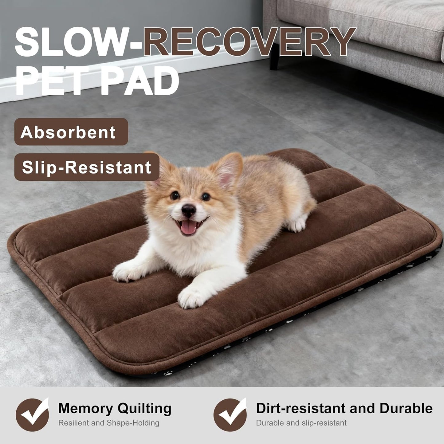 Dog Bed Mat, Reversible Crate Pad & Cute Dog Bed - Machine Washable Kennel Mat with Ultra Soft for Small Dogs (Cool/Warm), 24" x 18", Grey&Star