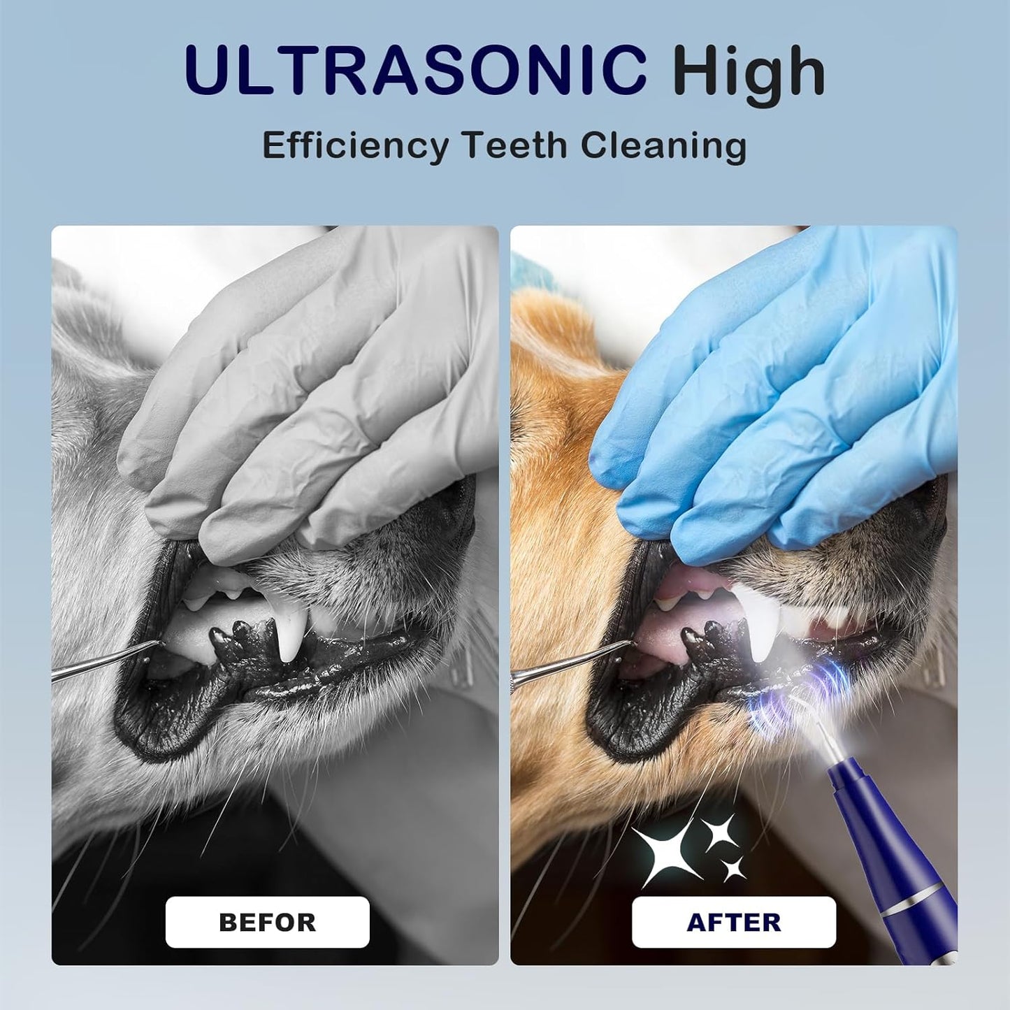 Plaque Remover for Teeth, Pet Ultrasonic Cleaner, Dog Plaque and Tartar Remover with LED Light, Dog Teeth Cleaning Dental Care Kit for Tartar and Stains, Suitable for Dogs and Cats (Black)