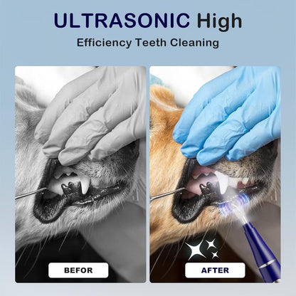 Plaque Remover for Teeth, Pet Ultrasonic Cleaner, Dog Plaque and Tartar Remover with LED Light, Dog Teeth Cleaning Dental Care Kit for Tartar and Stains, Suitable for Dogs and Cats (Black)