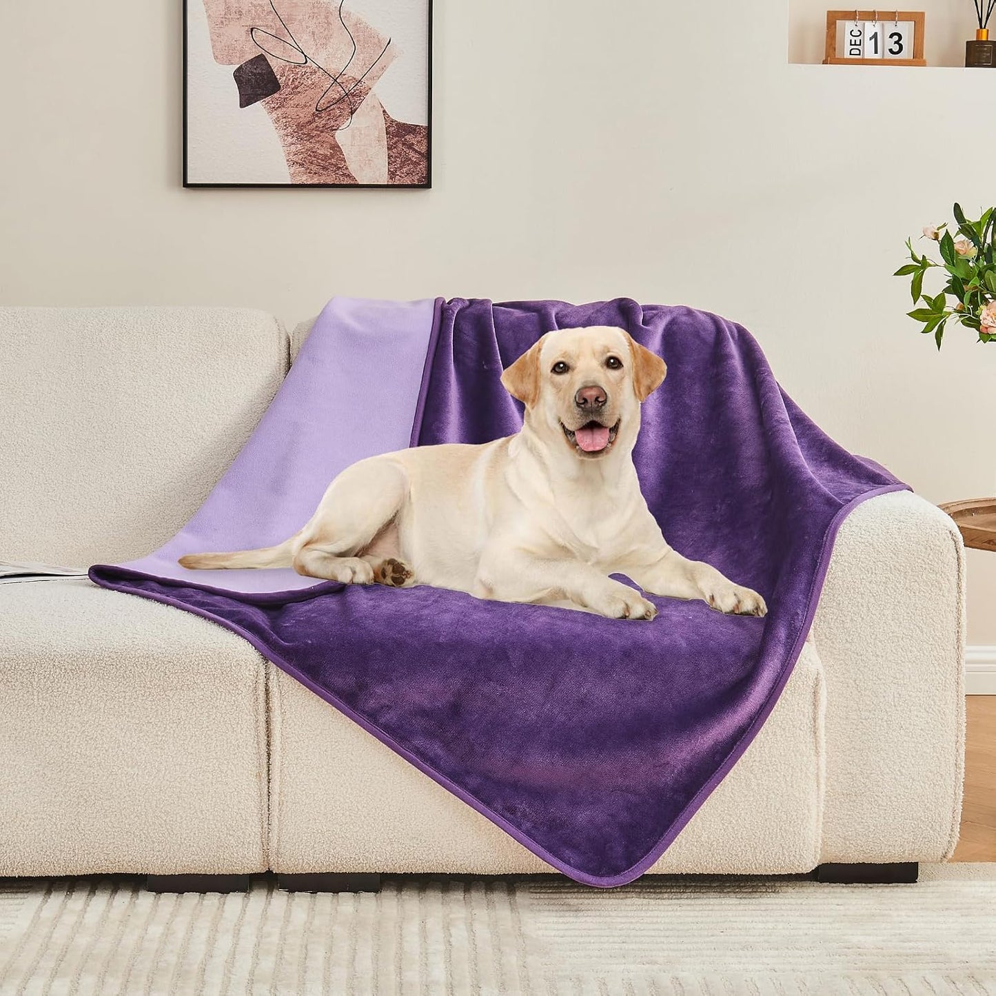 Waterproof Blanket 60"x80" for Adults, Reversible Waterproof Bed Cover for Dogs Cats Pets, Soft Leakproof Blanket for Bed Couch Sofa Furniture Protector, Dusty Pink/Off White