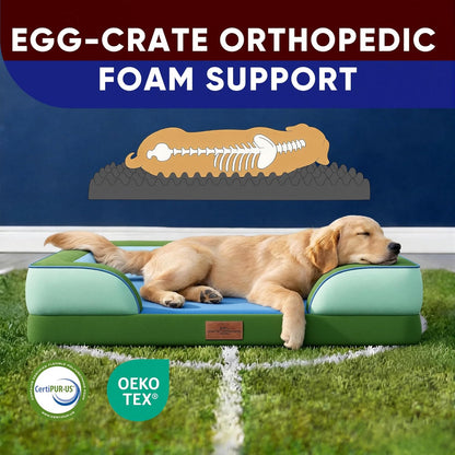 Comfort Expression Orthopedic Dog Bed for Extra Large Dogs 42x30 Inch, Waterproof Egg Crate Foam XL Pet Bed with Removable Bolsters, Dog Couch with Washable Cover & Non-Slip Bottom, Grey - Colors A